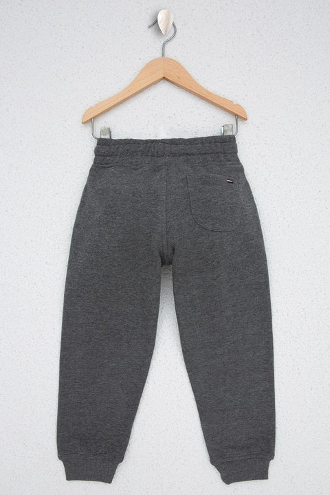 Us Polo Assn Boys Gray Knitted Pants