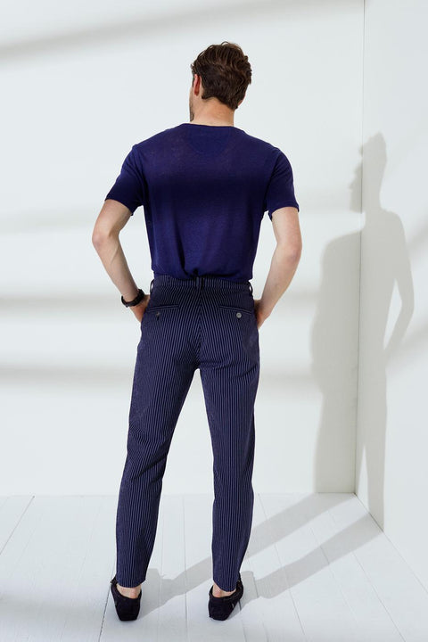 Us Polo Assn Striped Navy Blue Chinos Pants