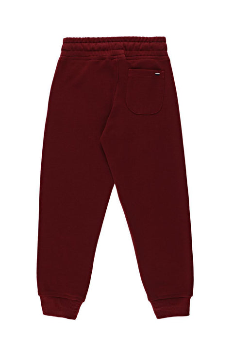 Us Polo Assn Boys Red Knitted Pants