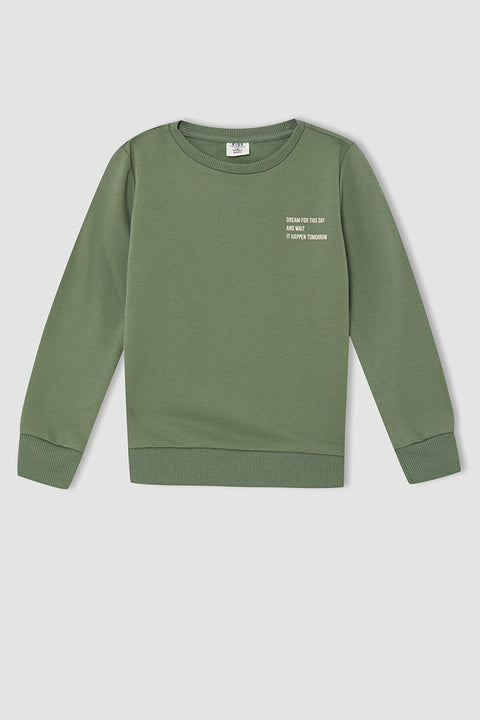 DeFacto Boys Regular Fit Crew Neck Soft Feathered 2-Pack Sweatshirt