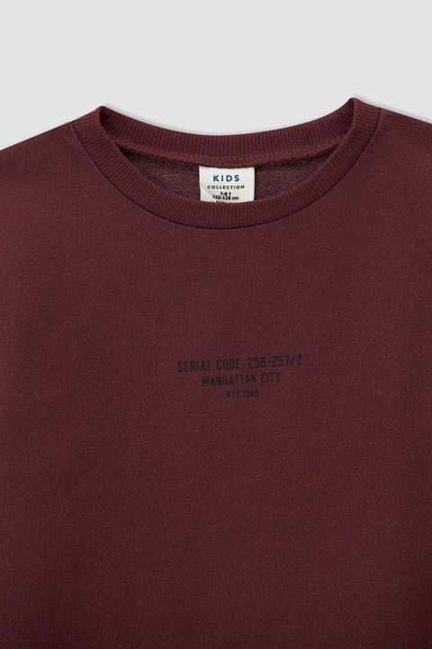 DeFacto Boy Regular Fit Basic 2-Pack Sweatshirt