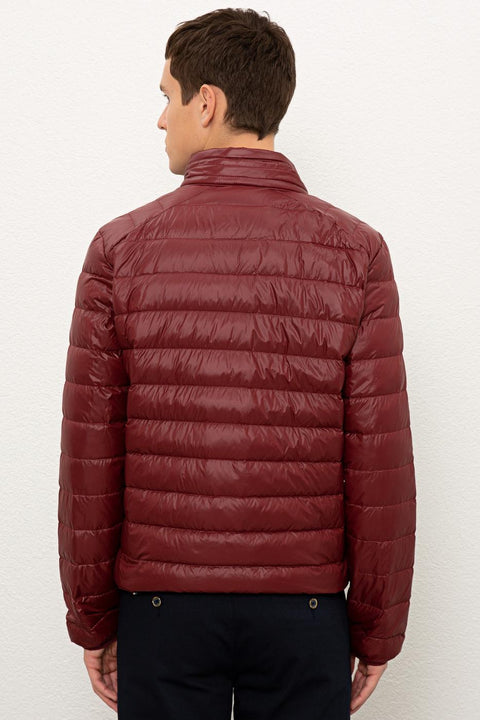 Us Polo Assn  Men Burgundy Jacket Synthetic