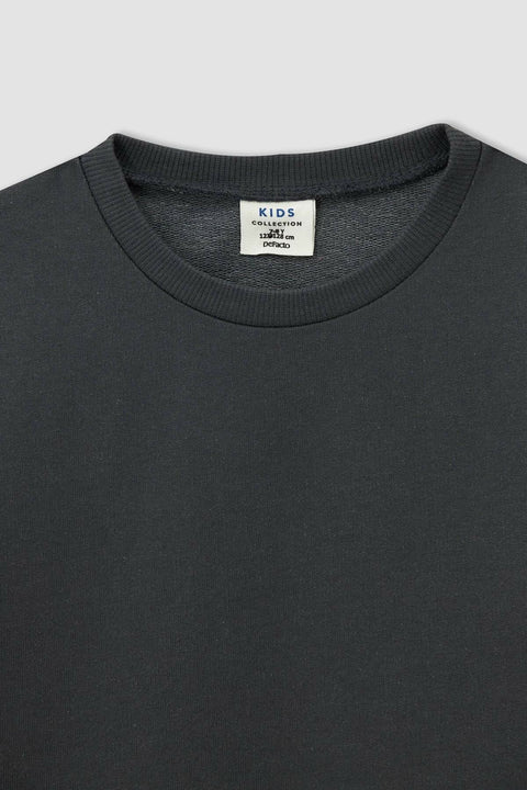 DeFacto Boy Regular Fit Basic 2-Pack Sweatshirt