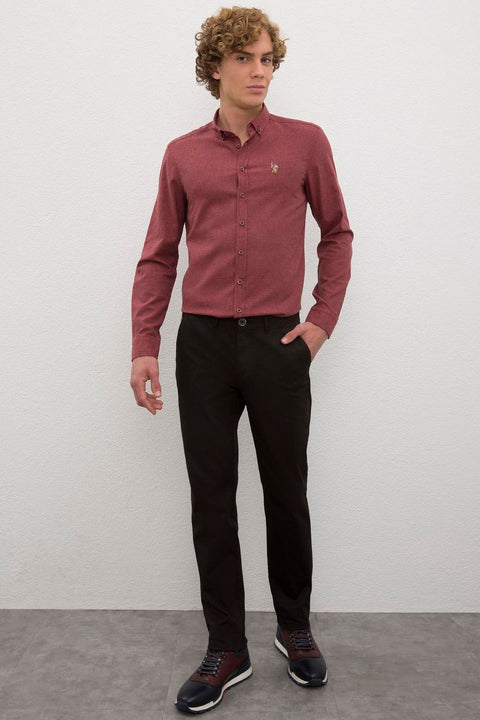 Us Polo Assn Brown Chinos Pants