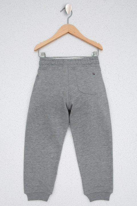 Us Polo Assn Boys Gray Knitted Pants