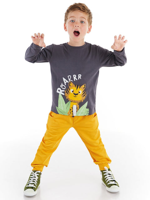 Denokids Little Tiger Boy T-shirt&Pants Set