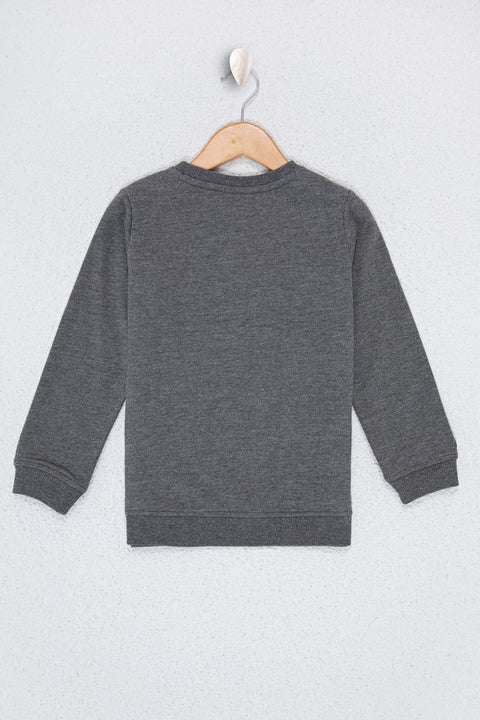 Us Polo Assn Boys Green Sweatshirt Basic