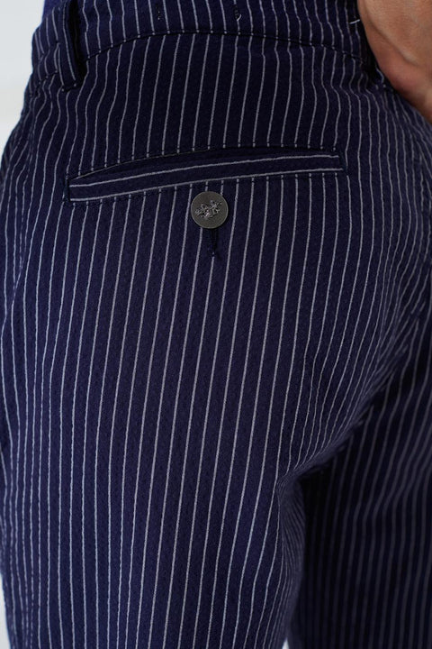 Us Polo Assn Striped Navy Blue Chinos Pants